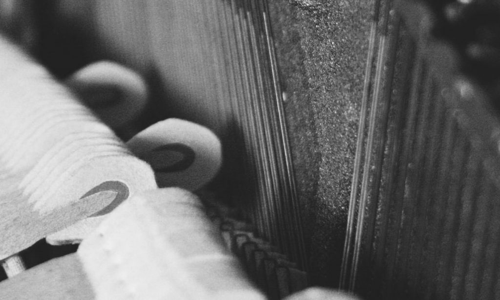 black and white close up photo of a piano hammer and stings